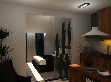 Deluxe Suite Room